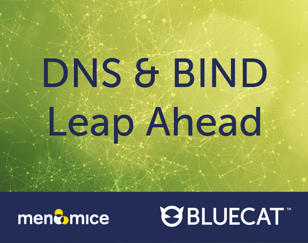 DNS & BIND Leap Ahead