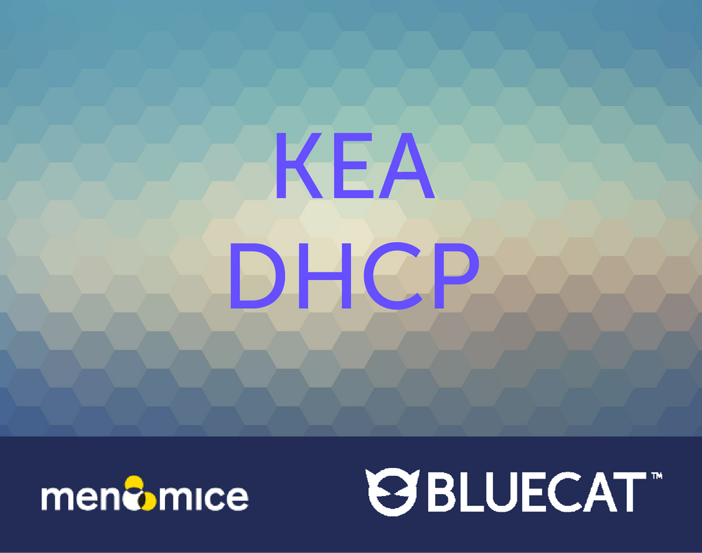 KEA DHCP